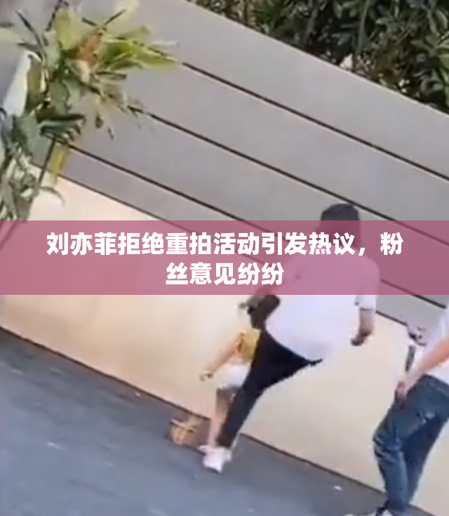 刘亦菲拒绝重拍活动引发热议，粉丝意见纷纷