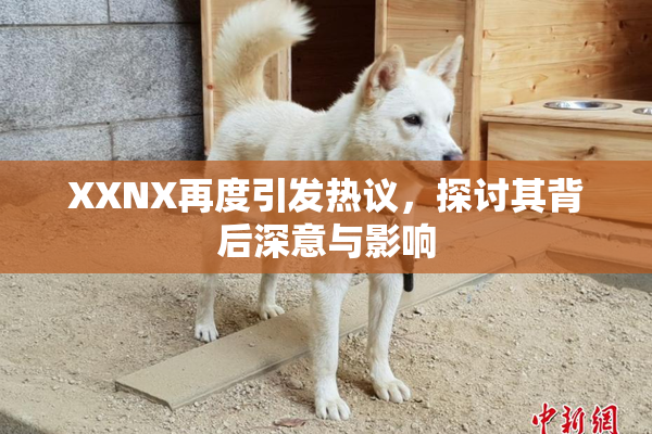 XXNX再度引发热议，探讨其背后深意与影响