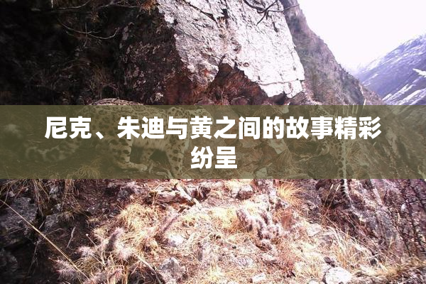 尼克、朱迪与黄之间的故事精彩纷呈