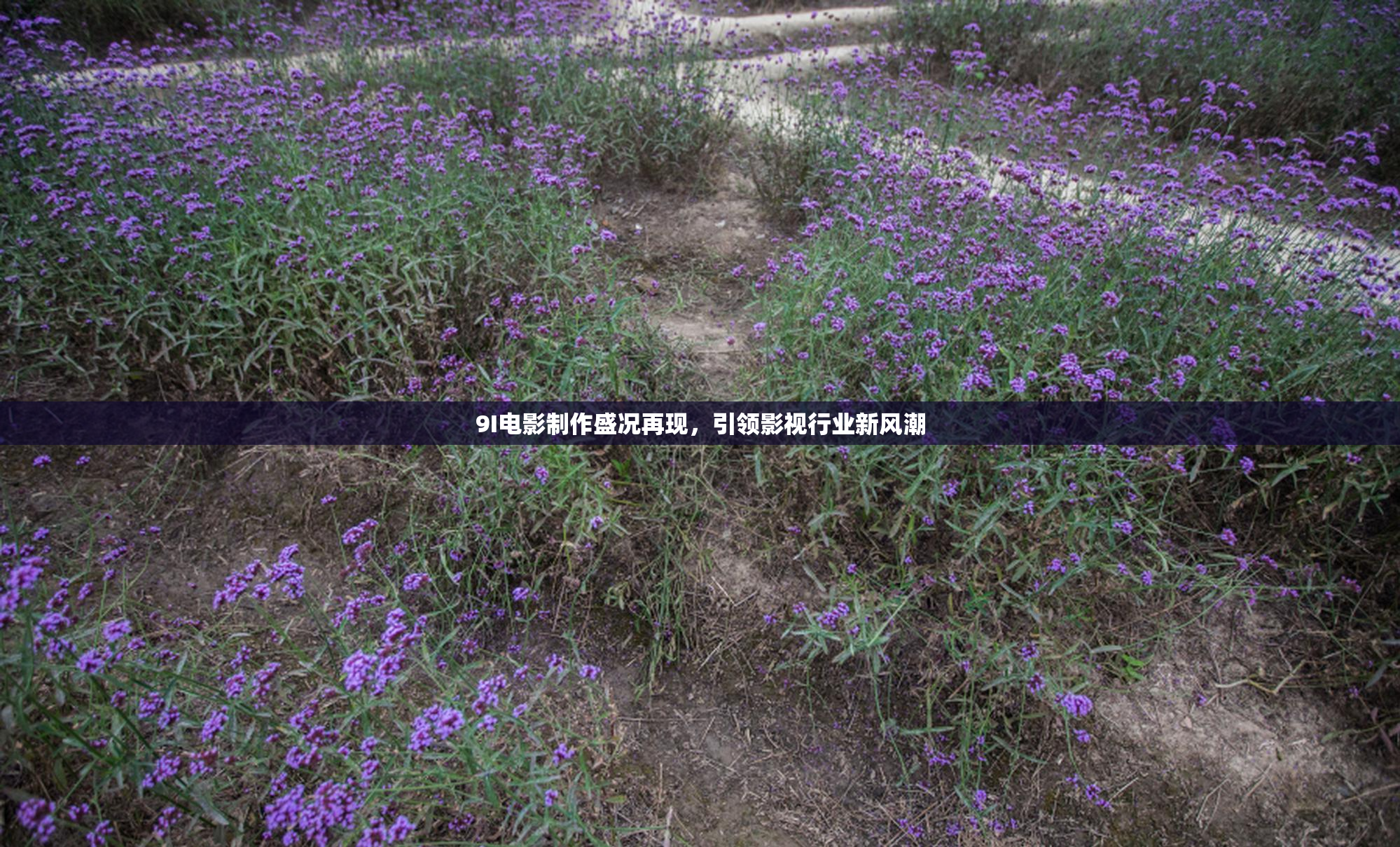 9I电影制作盛况再现，引领影视行业新风潮