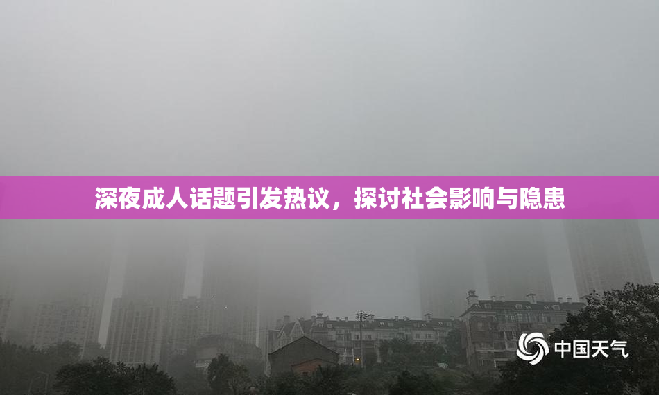 深夜成人话题引发热议，探讨社会影响与隐患