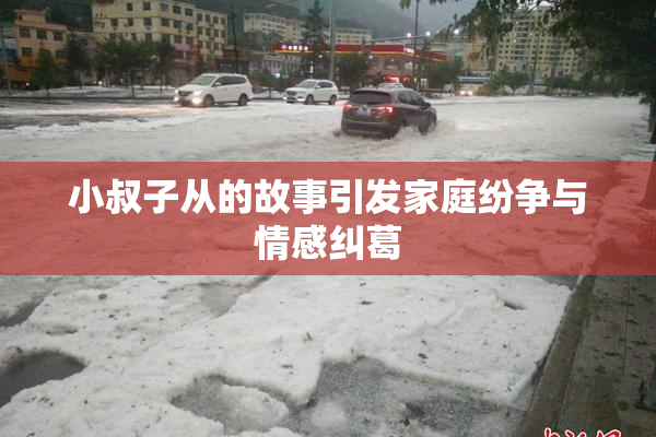 小叔子从的故事引发家庭纷争与情感纠葛