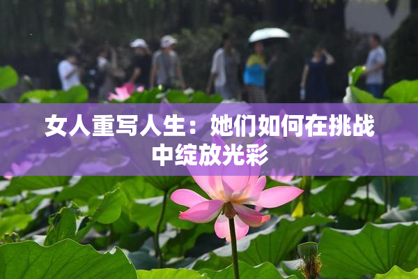 女人重写人生：她们如何在挑战中绽放光彩