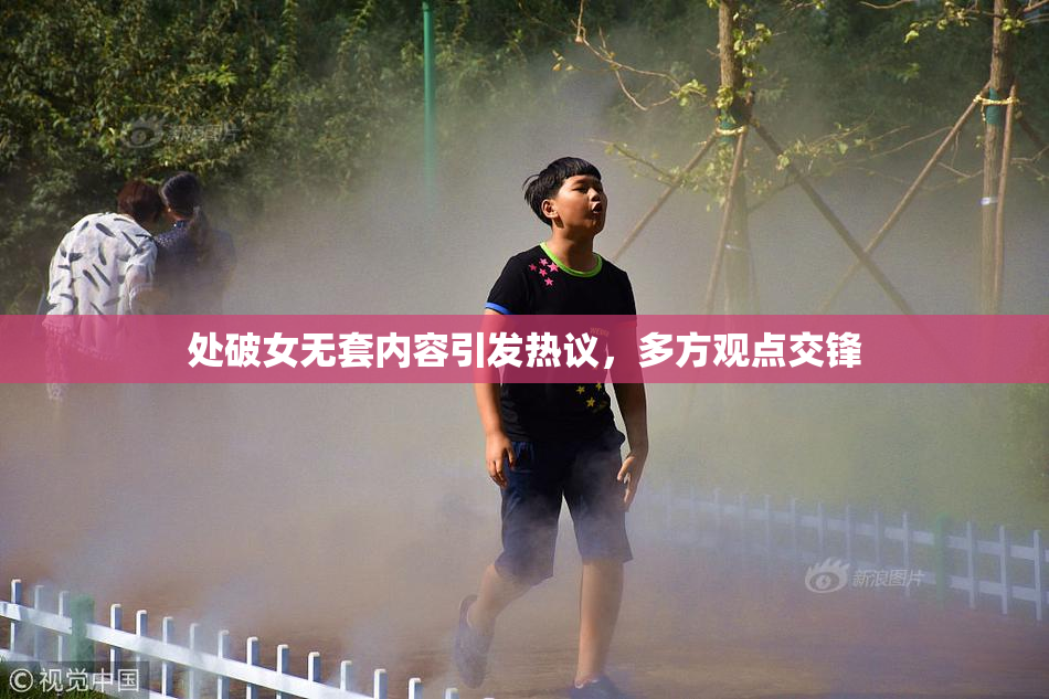处破女无套内容引发热议，多方观点交锋