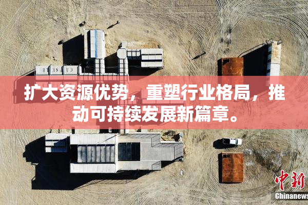 扩大资源优势，重塑行业格局，推动可持续发展新篇章。