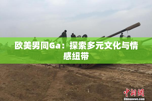 欧美男同Ga：探索多元文化与情感纽带