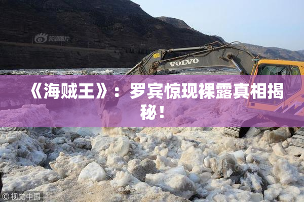 《海贼王》：罗宾惊现裸露真相揭秘！