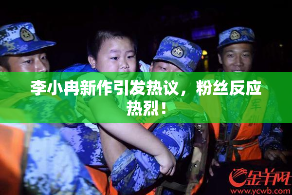李小冉新作引发热议，粉丝反应热烈！