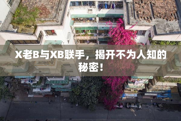 X老B与XB联手，揭开不为人知的秘密！