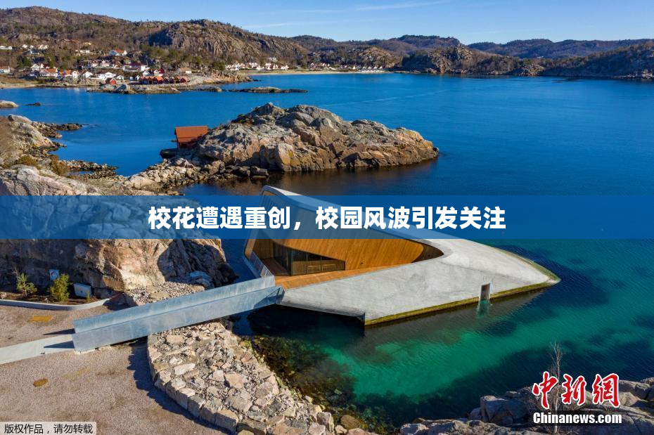 校花遭遇重创，校园风波引发关注