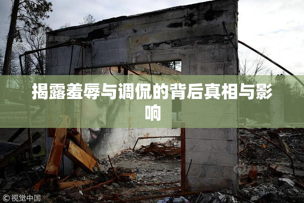 揭露羞辱与调侃的背后真相与影响