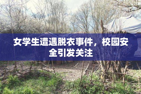 女学生遭遇脱衣事件，校园安全引发关注