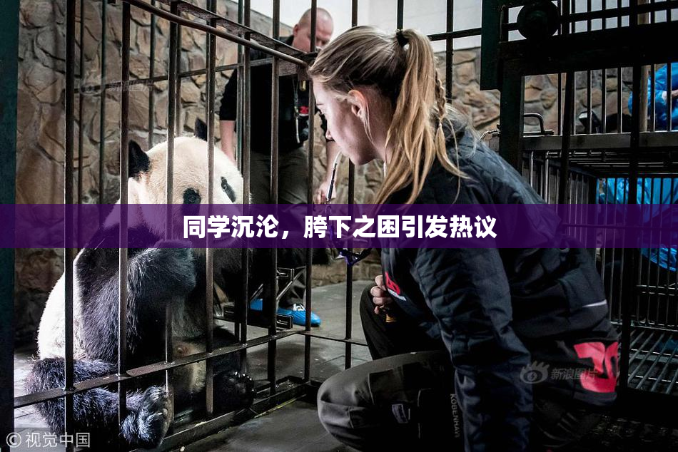 同学沉沦，胯下之困引发热议