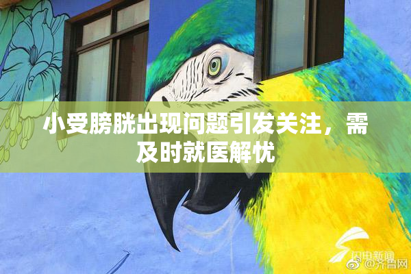 小受膀胱出现问题引发关注，需及时就医解忧
