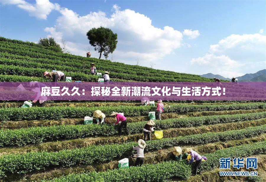 麻豆久久：探秘全新潮流文化与生活方式！