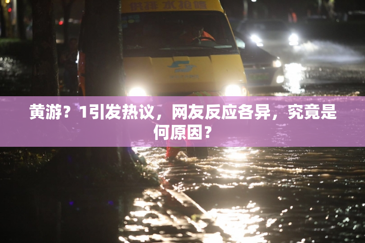 黄游？1引发热议，网友反应各异，究竟是何原因？