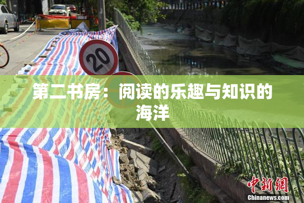 第二书房：阅读的乐趣与知识的海洋