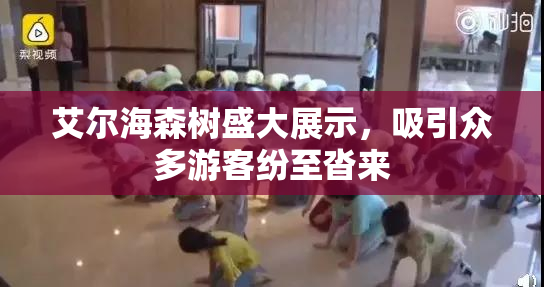 艾尔海森树盛大展示，吸引众多游客纷至沓来