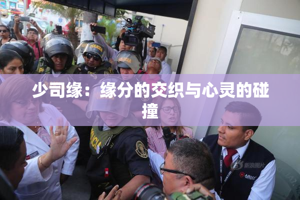 少司缘：缘分的交织与心灵的碰撞