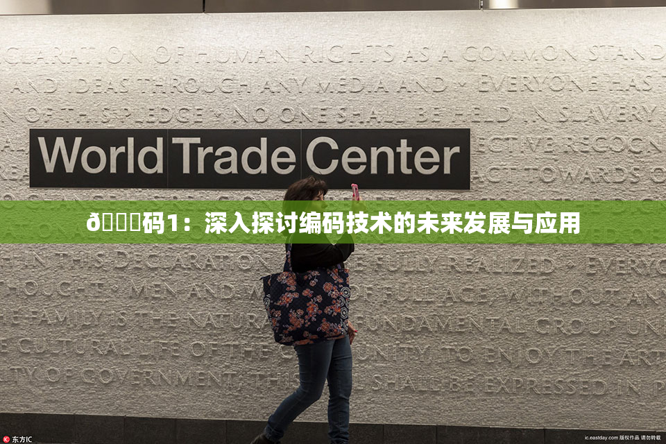 🈚码1：深入探讨编码技术的未来发展与应用