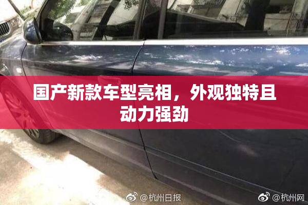 国产新款车型亮相，外观独特且动力强劲