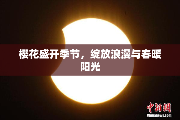 樱花盛开季节，绽放浪漫与春暖阳光
