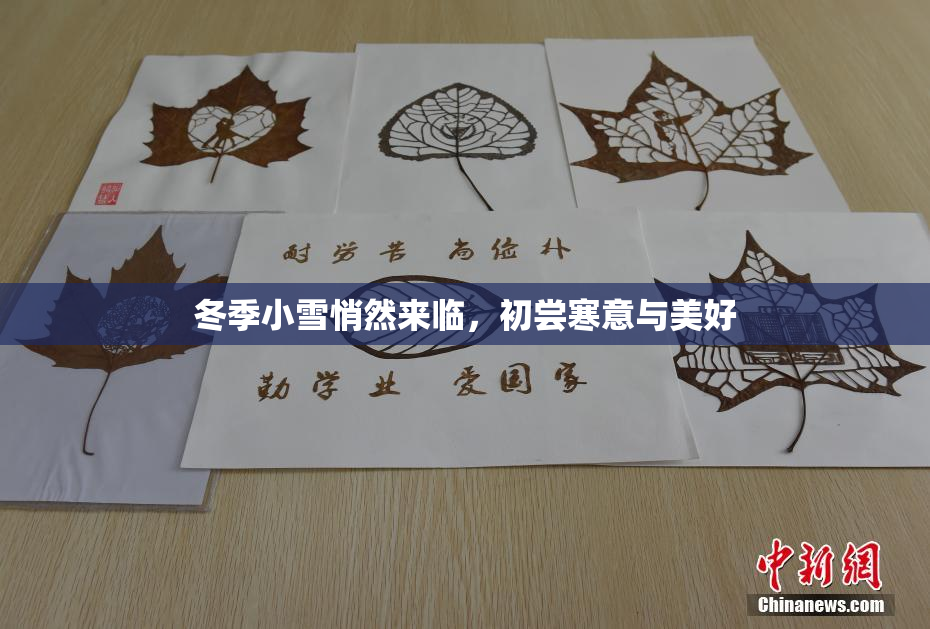 冬季小雪悄然来临，初尝寒意与美好