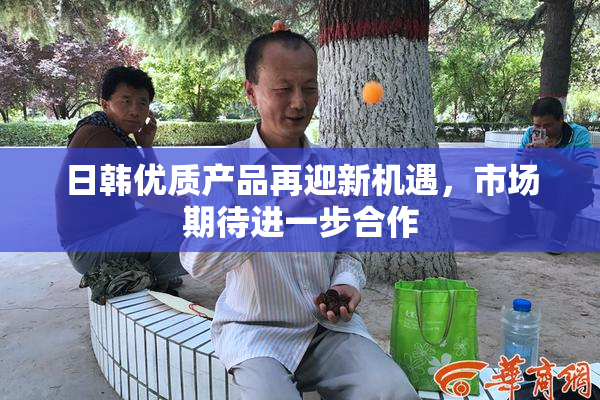 日韩优质产品再迎新机遇，市场期待进一步合作