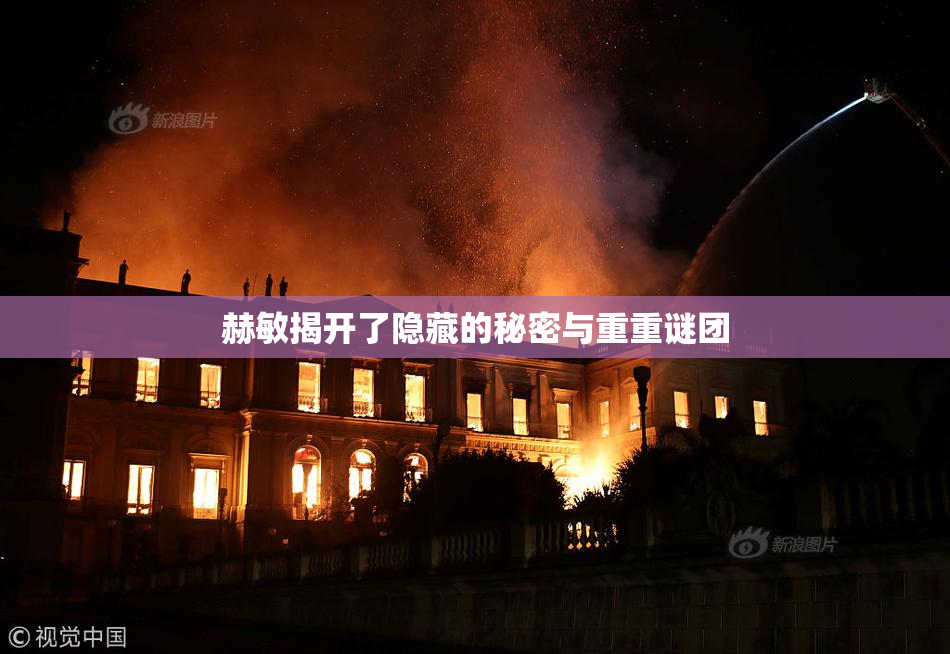 赫敏揭开了隐藏的秘密与重重谜团