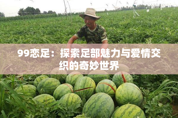 99恋足：探索足部魅力与爱情交织的奇妙世界