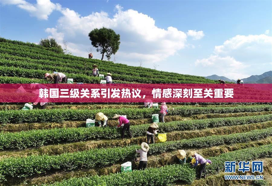 韩国三级关系引发热议，情感深刻至关重要