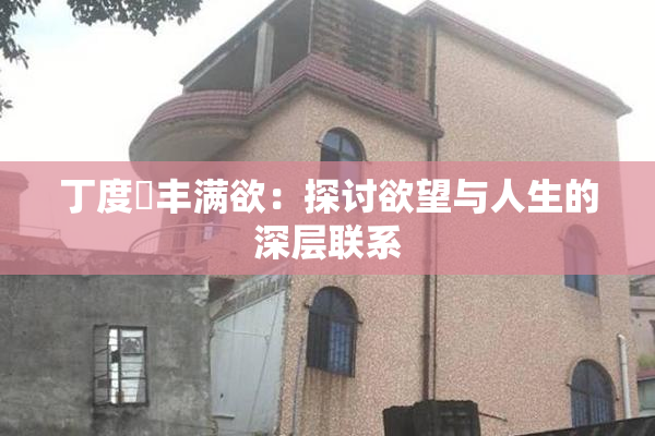 丁度巜丰满欲：探讨欲望与人生的深层联系
