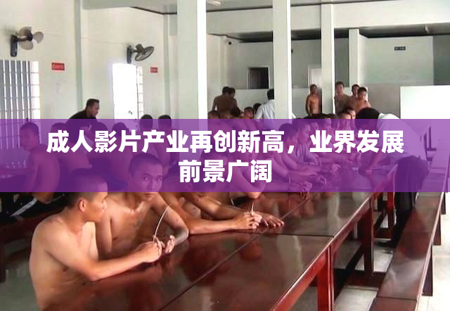 成人影片产业再创新高，业界发展前景广阔