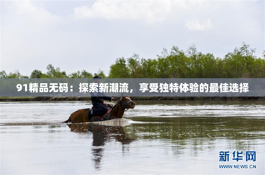 91精品无码：探索新潮流，享受独特体验的最佳选择