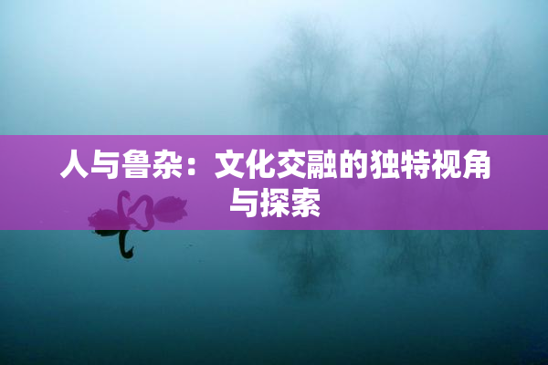 人与鲁杂：文化交融的独特视角与探索