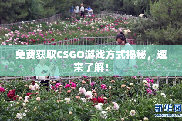 免费获取CSGO游戏方式揭秘，速来了解！