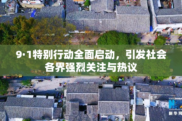 9·1特别行动全面启动，引发社会各界强烈关注与热议