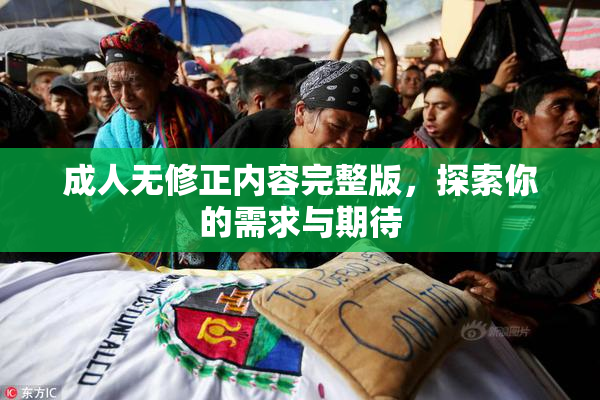 成人无修正内容完整版，探索你的需求与期待