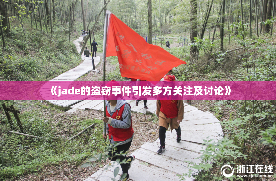 《jade的盗窃事件引发多方关注及讨论》