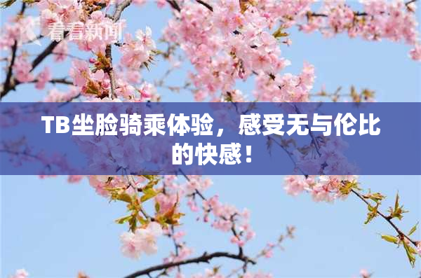 TB坐脸骑乘体验，感受无与伦比的快感！