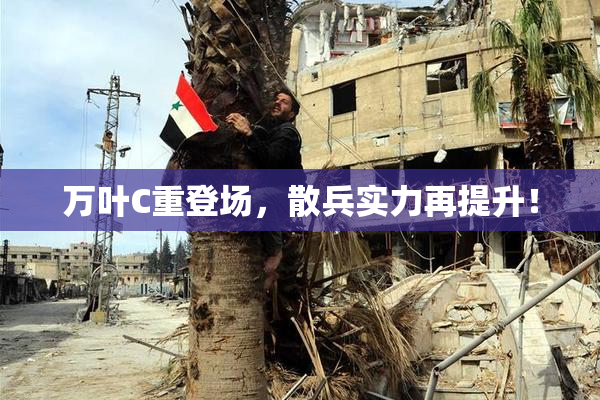 万叶C重登场，散兵实力再提升！