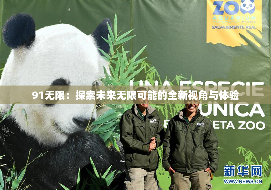 91无限：探索未来无限可能的全新视角与体验