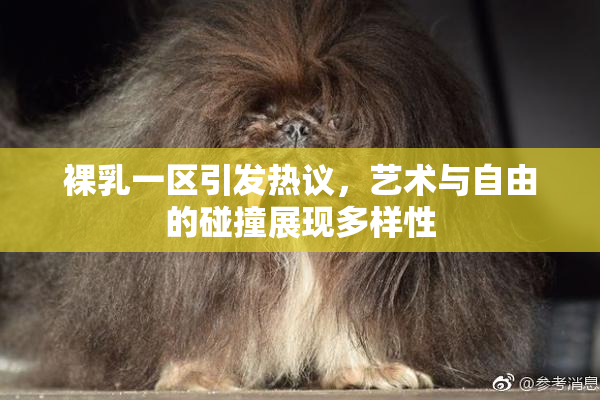 裸乳一区引发热议，艺术与自由的碰撞展现多样性