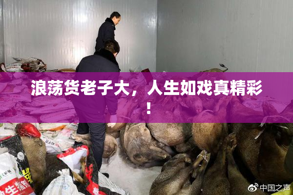 浪荡货老子大，人生如戏真精彩！
