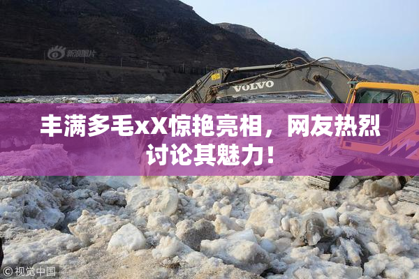 丰满多毛xX惊艳亮相，网友热烈讨论其魅力！