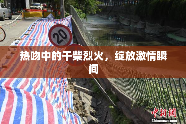 热吻中的干柴烈火，绽放激情瞬间