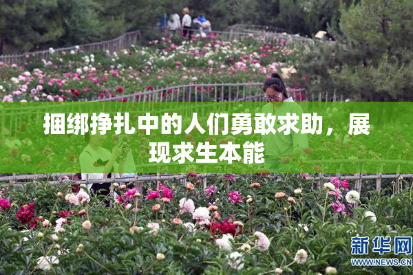 捆绑挣扎中的人们勇敢求助，展现求生本能