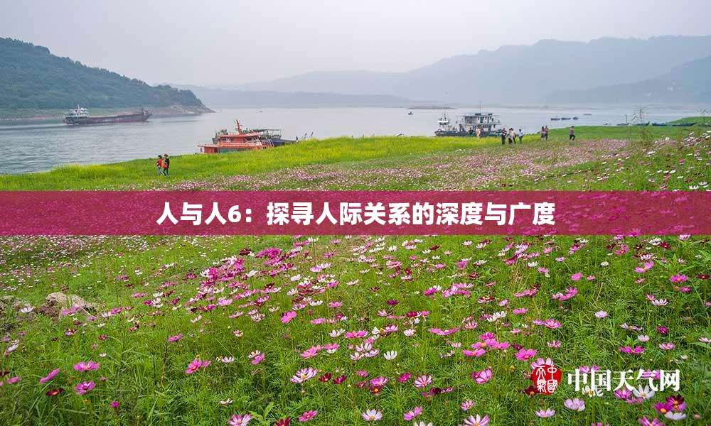 人与人6：探寻人际关系的深度与广度