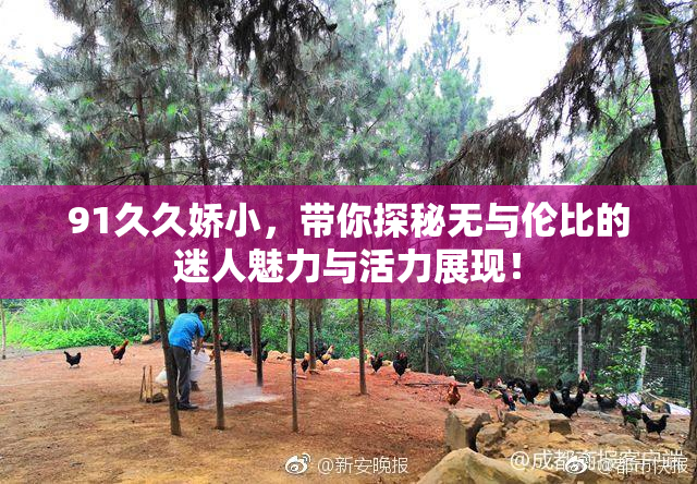 91久久娇小，带你探秘无与伦比的迷人魅力与活力展现！