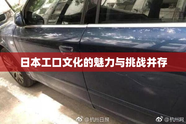 日本工口文化的魅力与挑战并存
